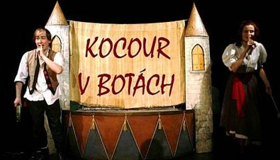 Kocour v botách