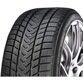 GRIPMAX 265/35 R 20 PRO WINTER 99V XL