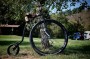 Velociped 36"