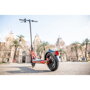 Ninebot Kickscooter D18E by Segway