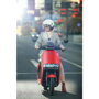 Segway eScooter E110S