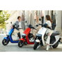 Segway eScooter E110S