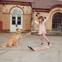 GiBoard Caesar Jib
