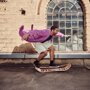 GiBoard Caesar Jib
