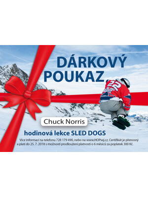 Lekce Sled Dogs s instruktorem