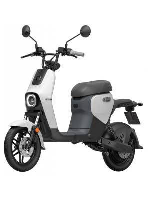 Segway eScooter B110S