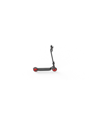 Ninebot eKickScooter ZING C20
