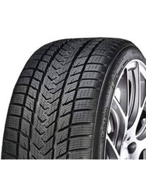 GRIPMAX 265/35 R 20 PRO WINTER 99V XL